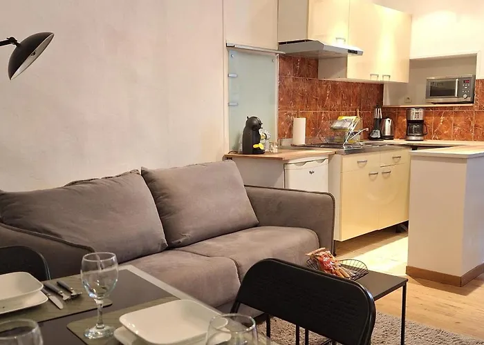 Le Cocon Millavois 1 Chambre, 4 Pers E Wifi Apartamento